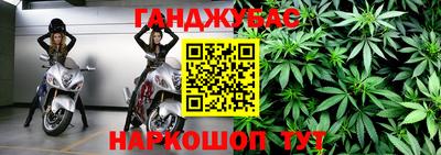 гидра Аша