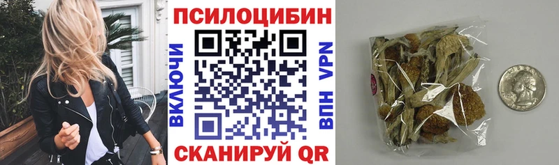 кракен сайт  как найти закладки  Чита  Псилоцибиновые грибы Cubensis 