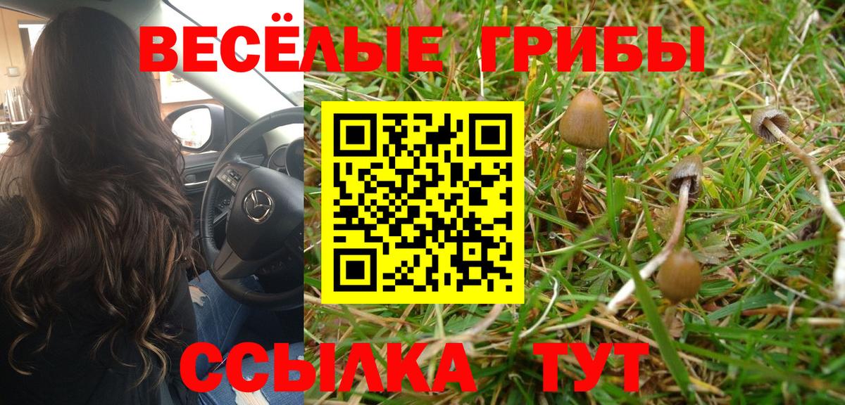 Галлюциногенные грибы Cubensis Чита