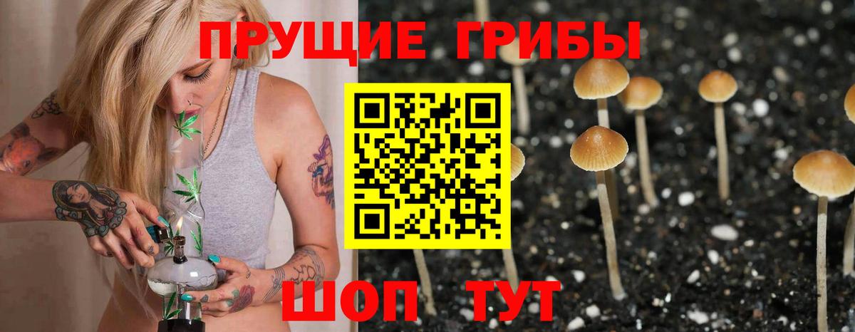 Чита  купить наркотики сайты  Вход с VPN  Галлюциногенные грибы Psilocybe  Псилоцибиновые грибы GOLDEN TEACHER 