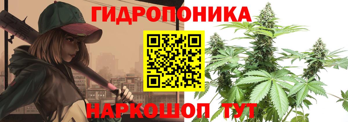 Каннабис White Widow  Вход с VPN  Чита  Конопля ГИДРОПОН  Конопля план  Канабис сатива 